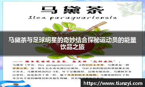 马黛茶与足球明星的奇妙结合探秘运动员的能量饮品之旅